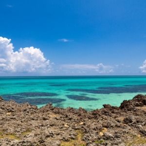 Meet your Posher, Mayumi